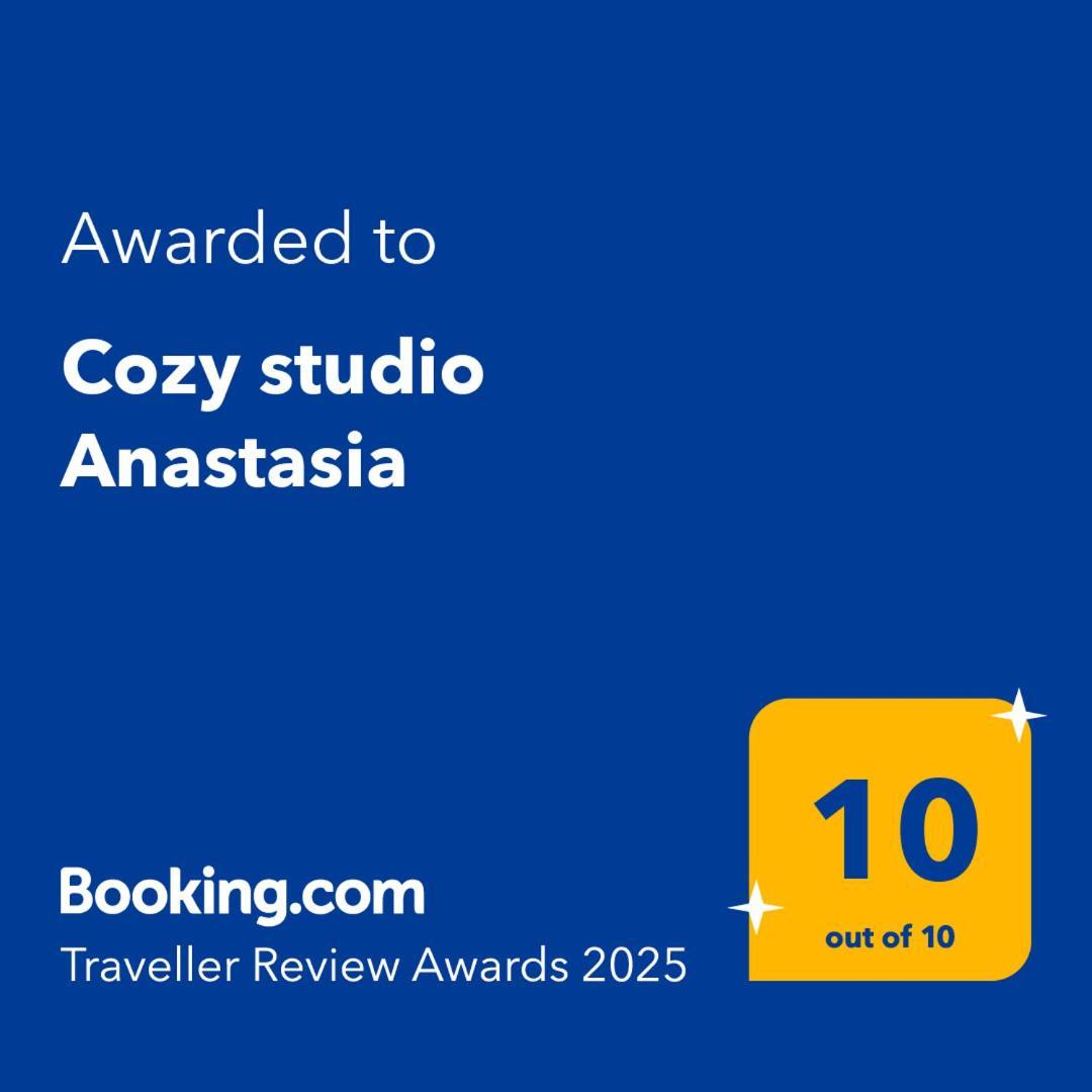 Cozy Studio Anastasia Kozani Dış mekan fotoğraf
